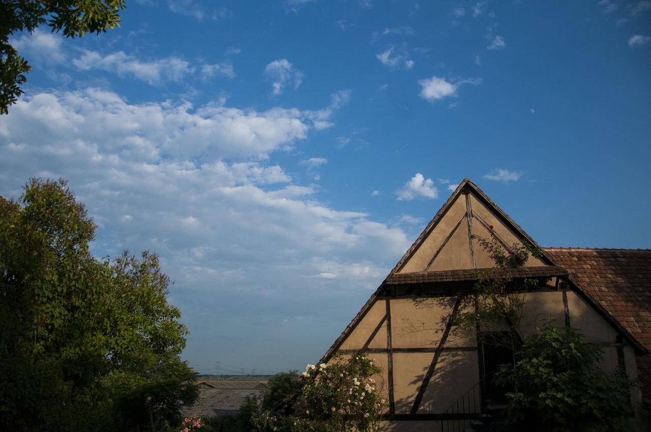 Unter Der Linde Hotel Nordheim Екстериор снимка